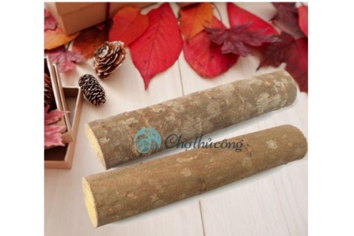 Combo 2 khúc củi khô trang trí - khúc gỗ tự nhiên đẹp decor lò sưởi